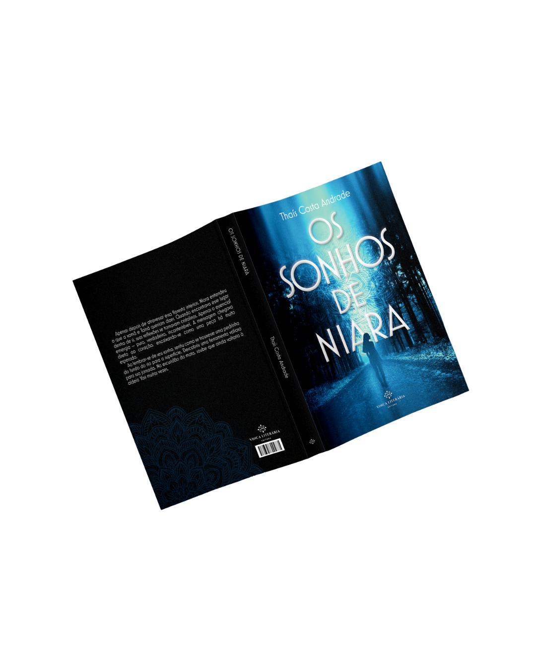 Os Sonhos de Niara - Imagem 2